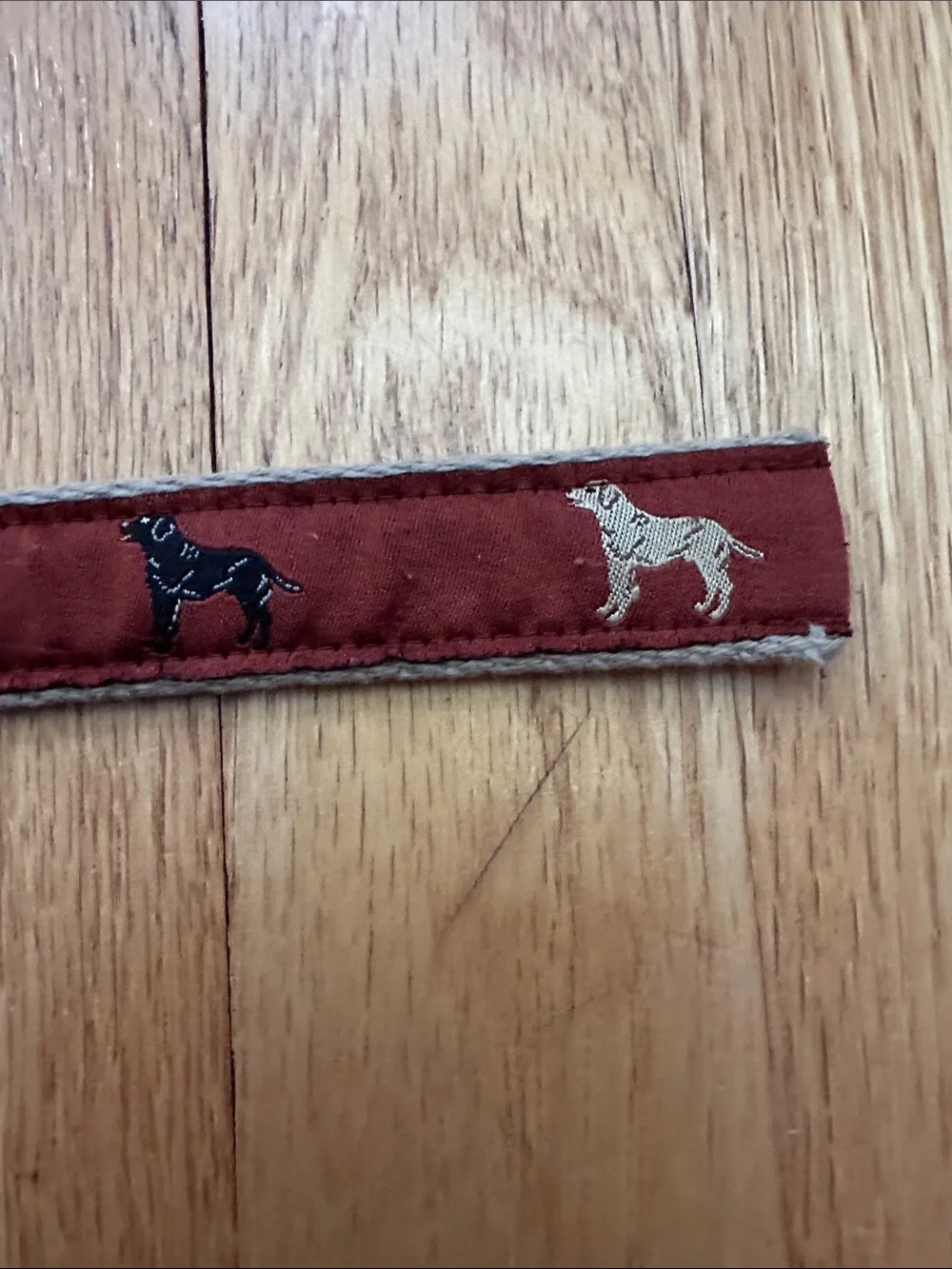Kids Red Fabric D-Ring Belt with Dog Motif